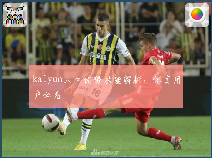 kaiyun入口优势功能解析，体育用户必看