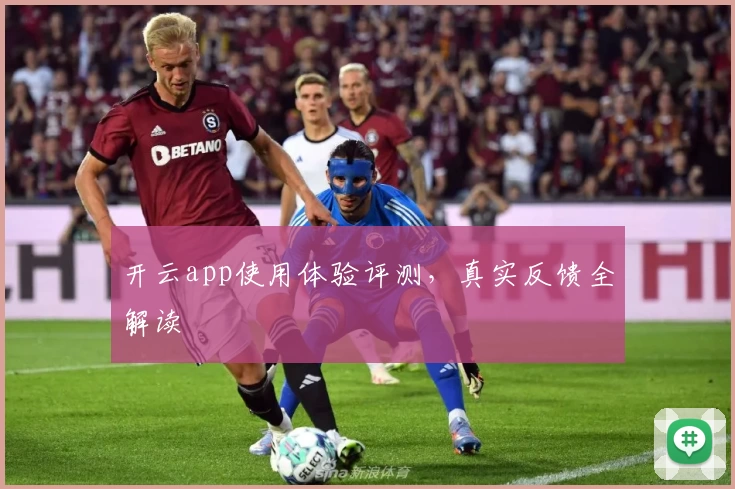 开云app使用体验评测，真实反馈全解读