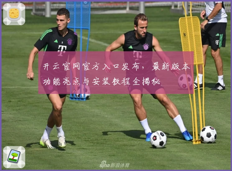 开云官网官方入口发布，最新版本功能亮点与安装教程全揭秘